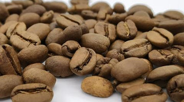 Specialty Coffee, il Caffè Speciale, Etico, Sostenibile