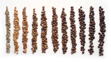 come scegliere un caffè in base alla tostatura