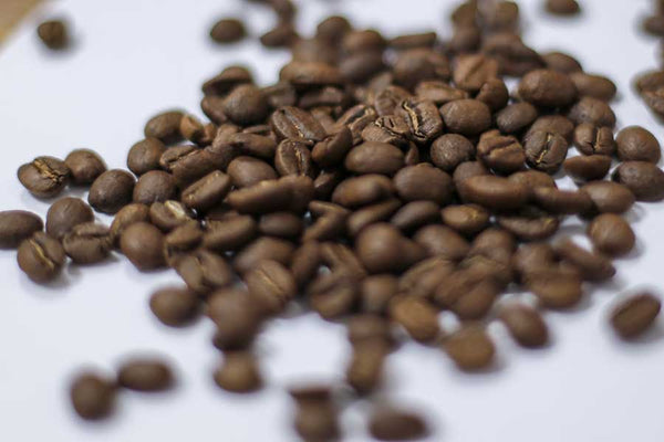 The Steam & Co.  blend per Espresso e Moka