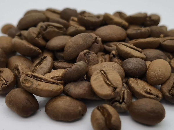 Caffè brasile in grani Specialty Coffee