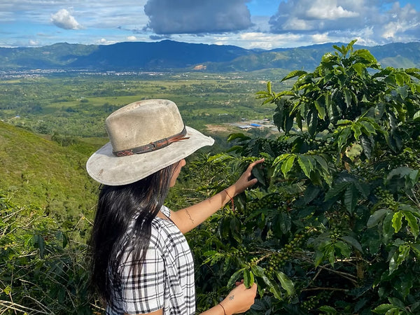 Café de spécialité Colombie Finca 4 Vents Double Fermentation Naturelle