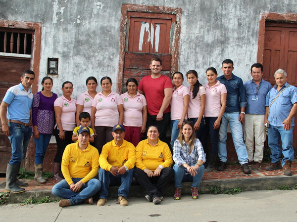 COLOMBIA - COOP. SAN ALBERT - LAVADO