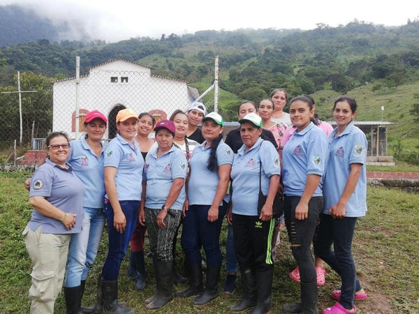 COLOMBIA - COOP. SAN ALBERTO - WASHED