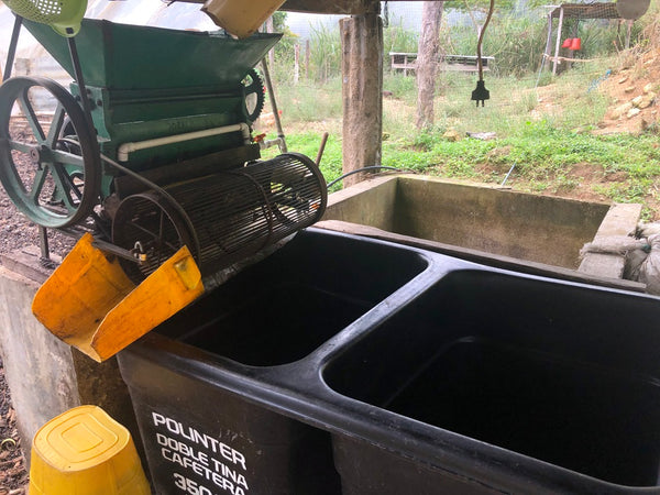 Specialty Coffee Colombia Atunkaa - Decaffeinated