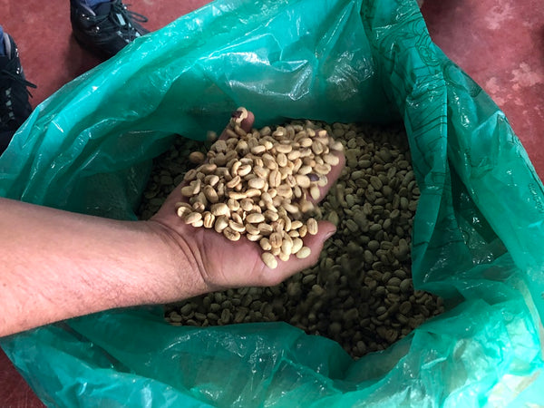 Specialty Coffee Colombia Atunkaa - Decaffeinated