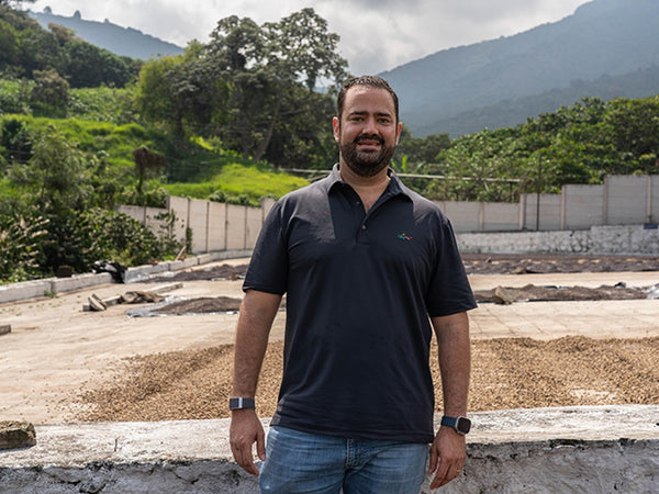 قهوة مختصة السلفادور ميرامار طبيعي جبل جاف بطريقة اللاهوائية OOTB