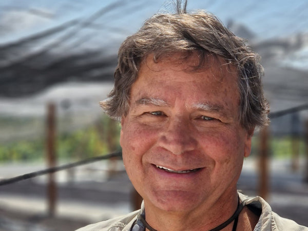 قهوة متخصصة نيكاراغوا لوس باباليس تخمير مزدوج