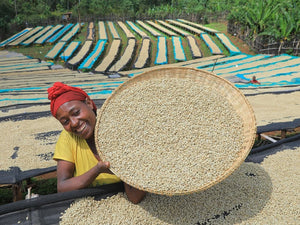 A woman handling parchment coffee in chelbesa