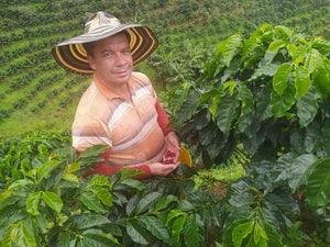 Caffè Specialty Colombia La Esperanza Honey Anaerobico