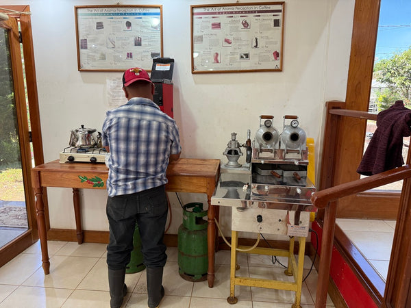 Caffè Specialty Nicaragua Los Papales Lavato Anaerobico