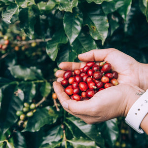 caffè a zero spreco